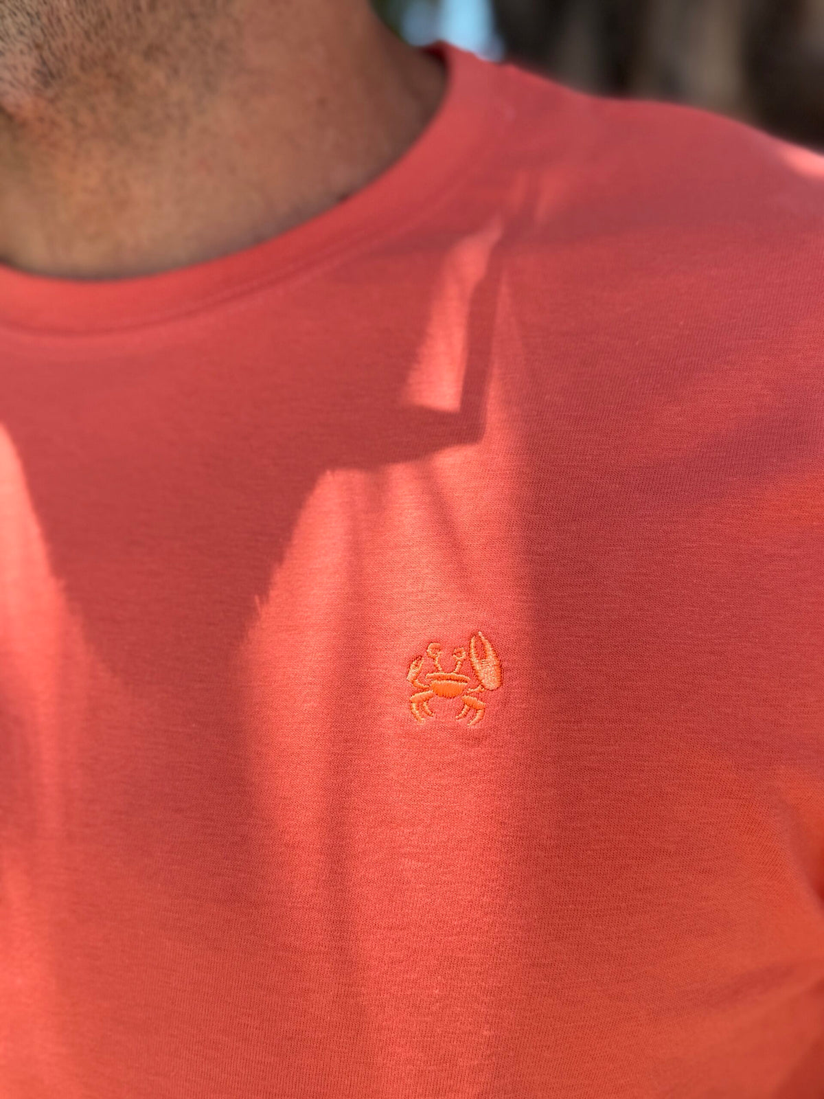 Camiseta bordada